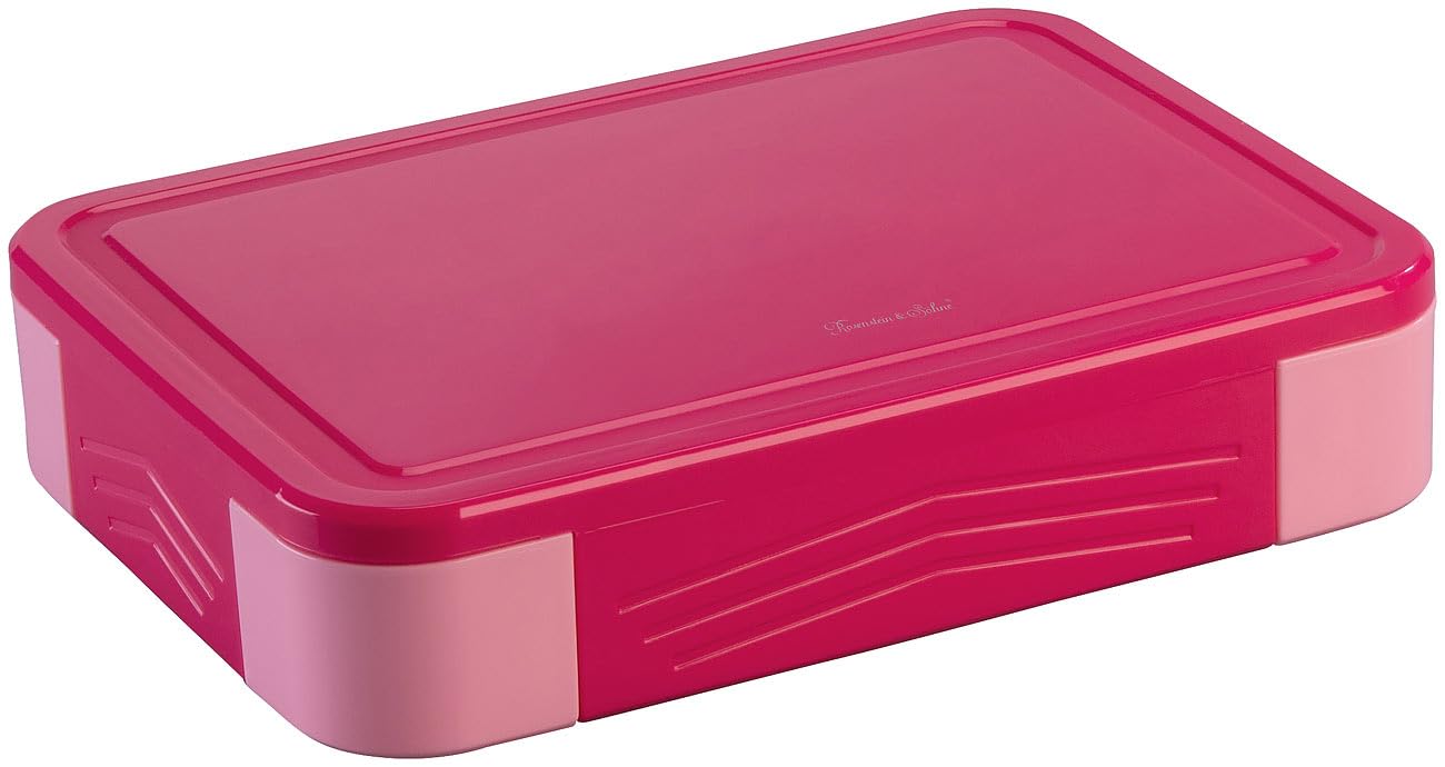Rosenstein & Söhne contenitore alimenti a tenuta stagna: Set da 8 pezzi Scatole per il pranzo con 5 compartimenti, piccola scatola per salse, 1.300 ml, forchetta e cucchiaio (scatole spuntini)