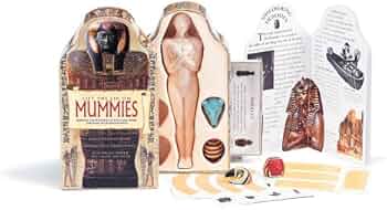 Lift The Lid On Mummies: Dineen, Jacqueline: 9780762402083: Amazon