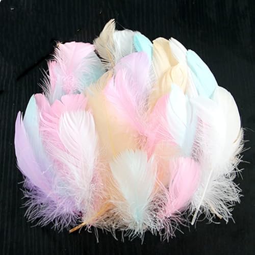50 Pièces Plume Colorées pour l'artisanat Plumes pour Bricolage Dream Catchers Mariage Fête D'anniversaire Décorations Macaron Cover