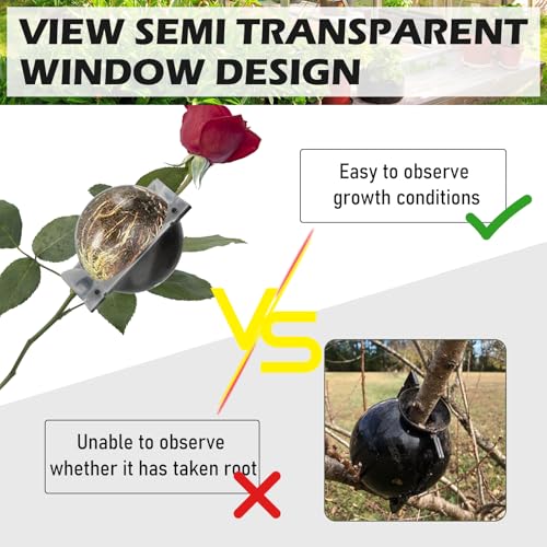 NVAAV Caixa de cultivo de raiz de árvore, bola de enxerto de reprodução assexuada de plantas transpa