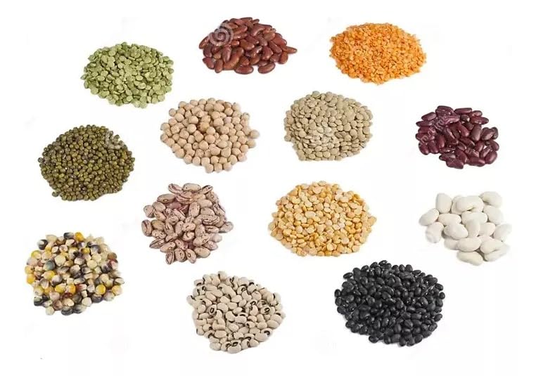 El mejor review de Sembradora al mejor precio. 15 Imagen adicional