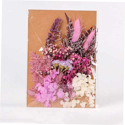 Flores secas decorativas para manualidades DIY miniatura 5