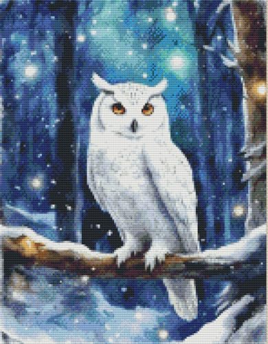 Amiiba Pre Printed Cross Stitch Kits for Adults Snow Owl 11ct Stamped Embroidery Kits 15.7×19.7 inch DIY Wall Art Decor for Beginners - Image 2