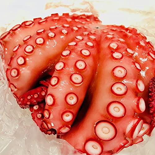ぽたこ出品 Amazon.co.jp: 真蛸 冷凍たこ (ボイル済み)1杯 (約900g) 特大