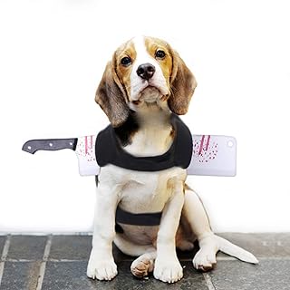 Amazon Es Vestido Gato