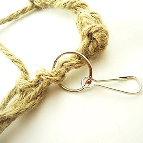 LA VIE Grande Rete di Arrampicata della Corda in