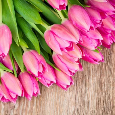 Episode 180: Jesus - Understanding His Death and Resurrection Week 6 - Precept 40 Minute Bible Study Series