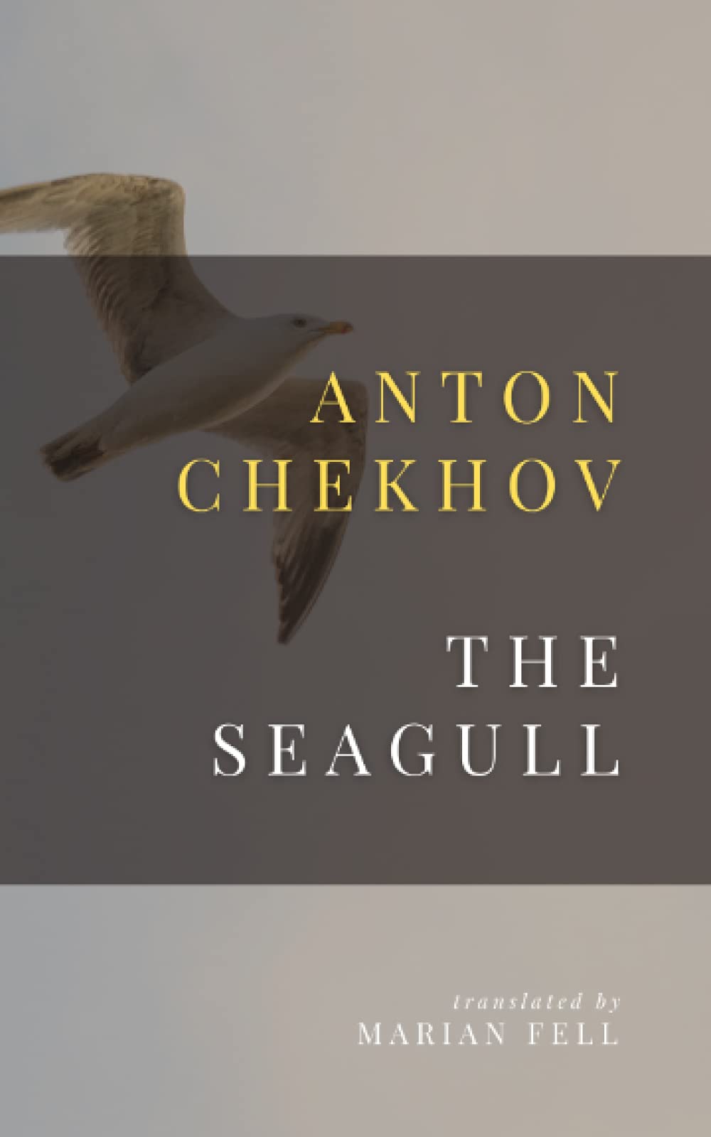 Anton ChekhovThe Seagull