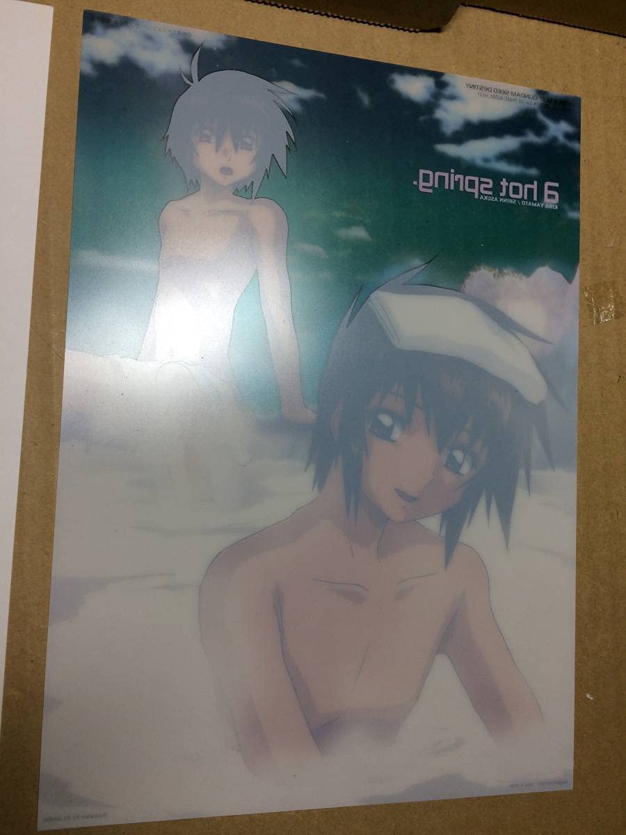 Amazon.co.jp: 機動戦士 DESTINY フォトコレクション Cell DX PHASE