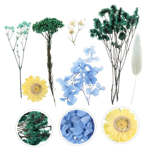 Flores prensadas naturales para manualidades 1 pack miniatura 4