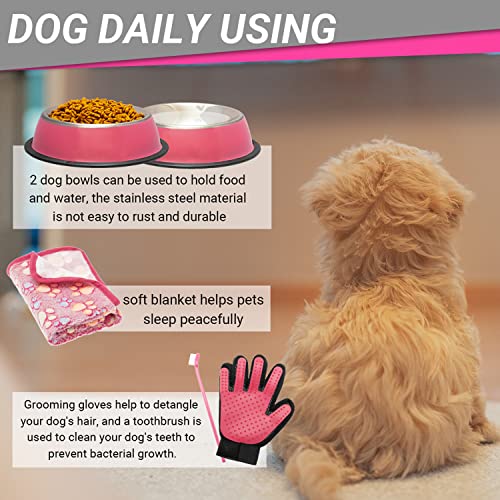 Welpen-Starter-Set für kleine Hunde – 26 Stück inkl. Hundespielzeug, Halsband, Leine, Welpen-Trainings-Cilcker, Leckerli-Tasche, Kotkotbeutel mit Spender, Decke, Zahnbürste, ID-Tag usw