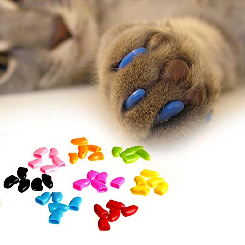 Brostown 100Pcs Soft Pet Cat Nail Caps Claws Control Paws Of 5 Kinds 5Pcs Adhesive Glue + 5Pcs Applicator With Instructions (L) #TOP3