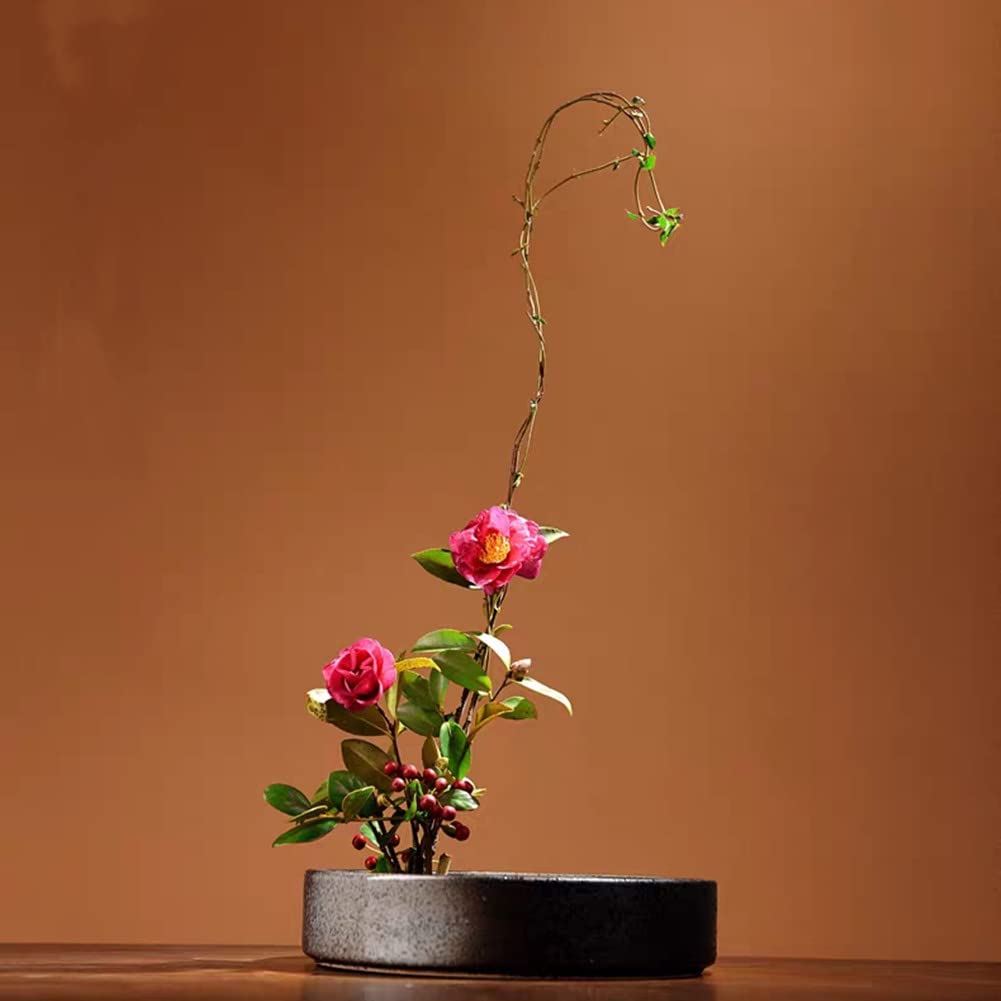 Amazon.co.jp: 生け花の器の生け花の鉢の台座の花盤の生け花 生け花用 