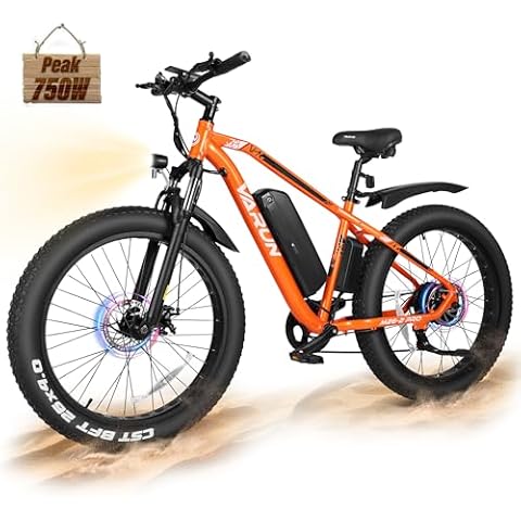 VARUN Peak 750W Electric Bike Cover