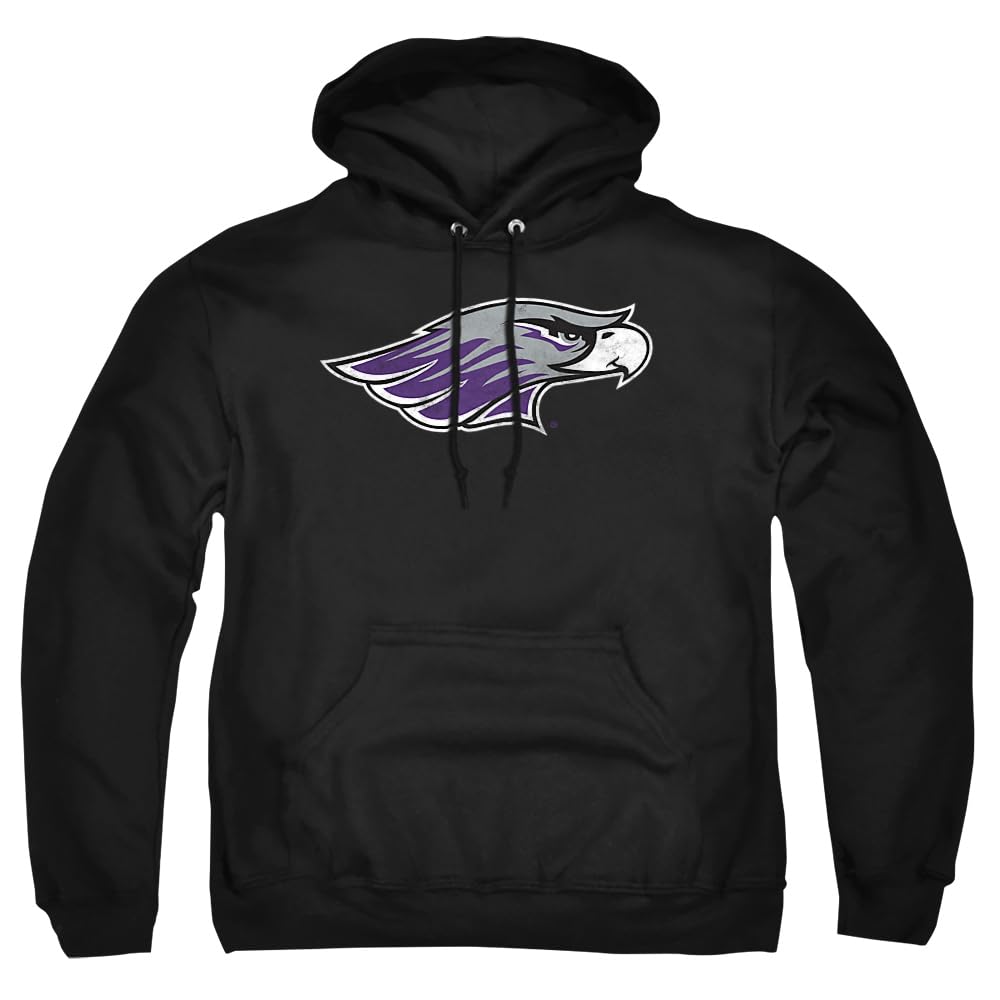 LOGOVISION Official Collegiate Distressed Primary Logo Adult Pullover Hoodie Collection — view 135