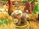 Wildlife Camp (PC Game) [UK IMPORT]