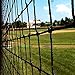 Net World Sports Cricket Net Panels - Professional Pre-Cut Netting in Range of Sizes (60ft x 12ft)