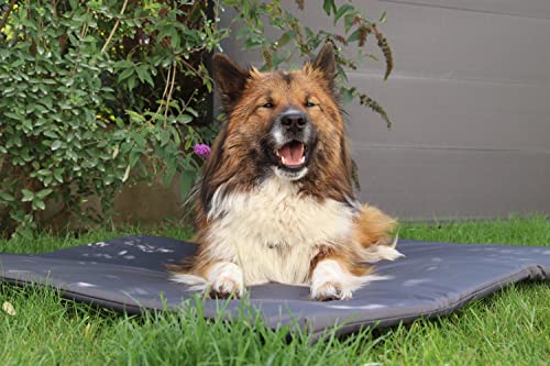 SUNNYDOGS wasserdichte Einlage für Wurfkiste | abwischbare, leichte Unterlage Wurfbox | Hunde & Katzen | Welpenaufzucht Zubehör | Matte 136 x 116 cm