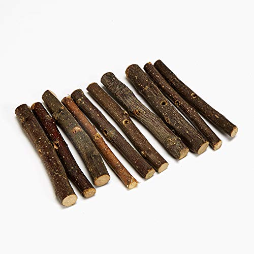 Kaytee Apple Orchard Sticks for Rabbits, Guinea Pigs, Hamsters or Other Small Animals, 10 Count (Pack of 2) - image 2