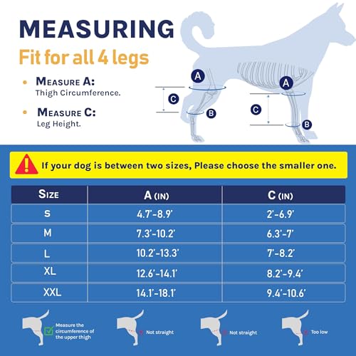 Image of Dog Knee Brace, Size: XXL