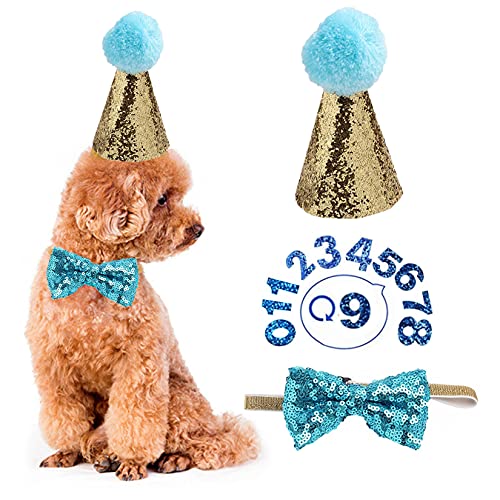 Sombrero de cumpleaños para perro, gorro de cumpleaños para mascotas y collar con pajarita con número, gorras reutilizables para cachorros y gatos, accesorios de decoración para fiestas (azul claro) Cover