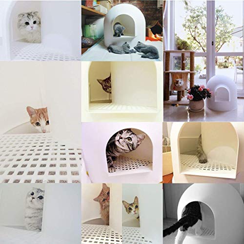 Toilette per gatti con grande coperchio e pala Cat...