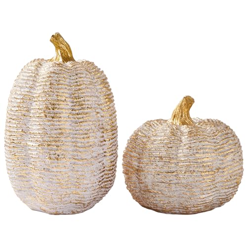 DN DECONATION Fall Pumpkin Decorations Table Centerpieces, 2Pcs White &