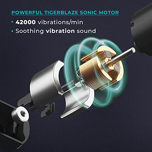 Image of beatXP Ionic Electric Toothbrush for Adults with 2 Brush Heads & 4 Cleaning Modes| Rechargeable Electric Toothbrush