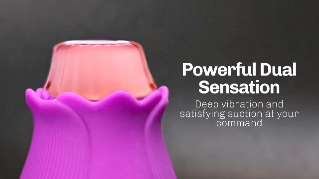 Rose Vibrators Toy | Sexual Pleasure Tools for Women | Quiet and Powerful  Rose Sex Toy | Rose Toy Waterproof Adult Toys | Compact and Discreet Sex  Toys for Women | Sex Toys Amazing Gift (Pink) : Health & Household