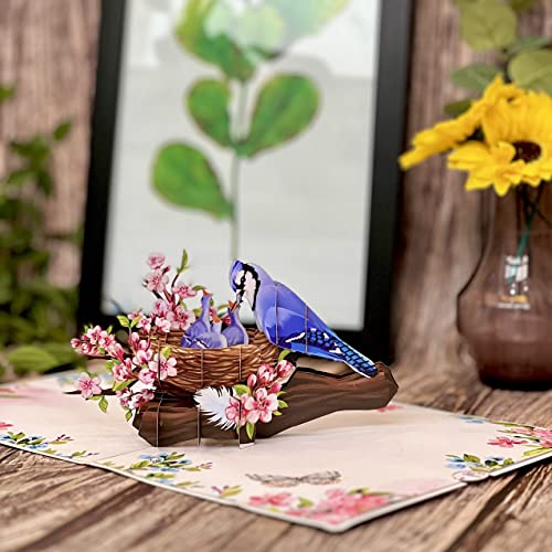 Pop Up Birthday Cards For Women By 22Craft, Birthday Card For Mom, Blue Jay - Bird Mom Birthday Card For Wife 6"X 8" - Happy Birthday Mom Cards Pop Up For Mom, Wife, Grandma, Pop Up Mothers Day Card #TOP4