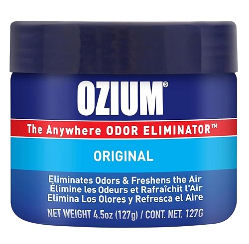 Image of Ozium Air Sanitizer 4.5 oz Gel: Odor Eliminator for Strong Odor, Car Air Freshener (Original, 1 Pack)