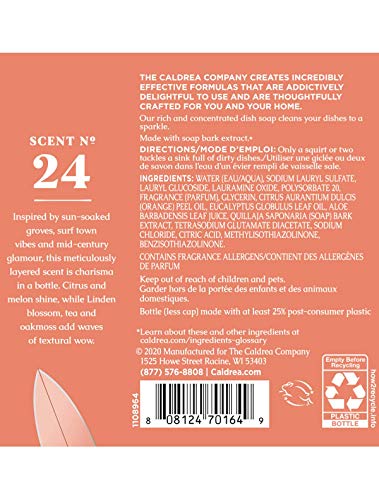 Caldrea Dish Soap, Biodegradable Dishwashing Liquid made with Soap Bark and Aloe Vera, Tangelo Palm Frond Scent, 16 oz (Packaging May Vary)