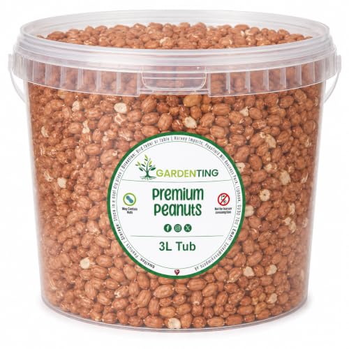 Garden Ting Premium Peanut Kernels Wild Bird Food 3 Litre