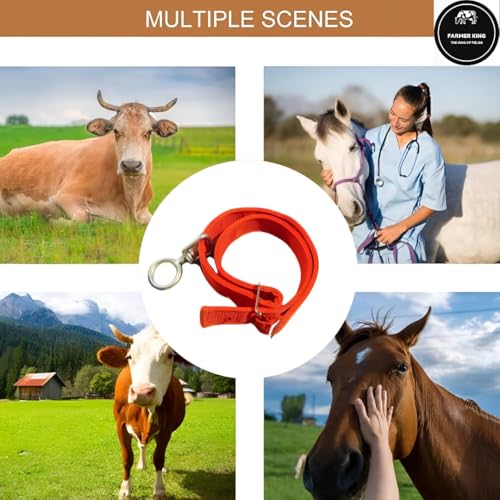 Image of Farmer King Cow /Buffalo /Bull /Horse Solid Nylon Neck Belt, Rock Strong Collar, 1 Meter Adjustable Belt with Nickle Coated Iron Ring & Hook | Skin Friendly | Masterpeice (Black Color)