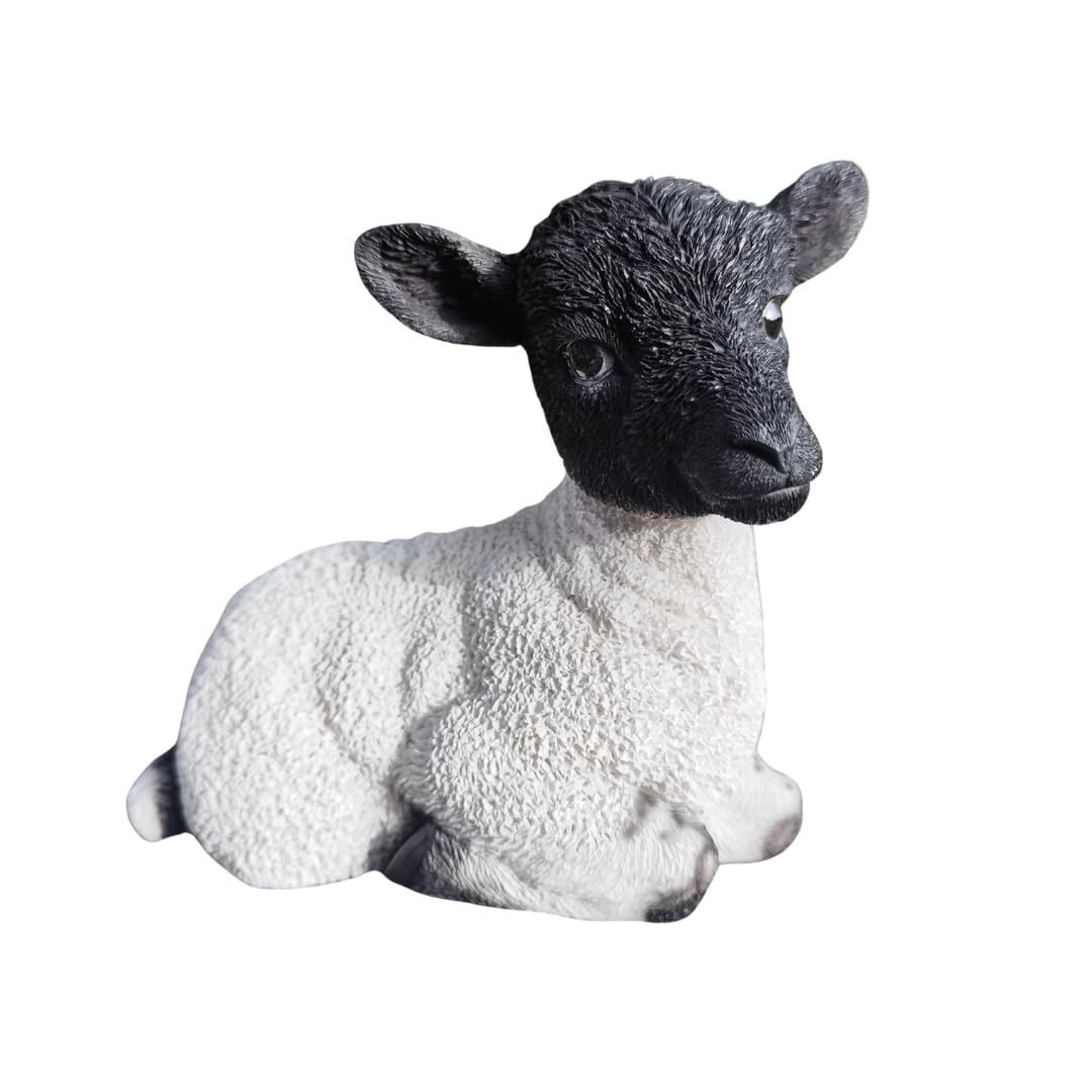 Vivid Arts White Laying Lamb White & Black– Small Resin Farm Animal Ornament (16 × 10.5 × 7 cm)