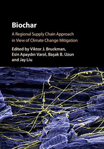 Biochar: A Regional Supply Chain Approach in View of Climate Change Mitigation
