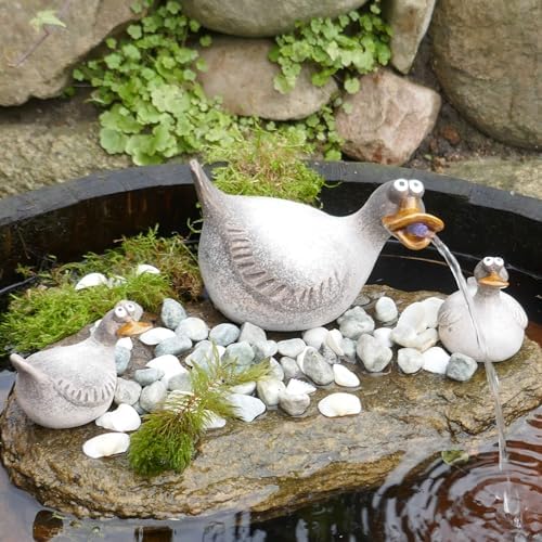 Storm's Gartenzaubereien Mini-vijver, complete set, 2 grote zwemkikkers, klein, 2 theelichtschalen, 6 glinsterende ballen en een zinkbak