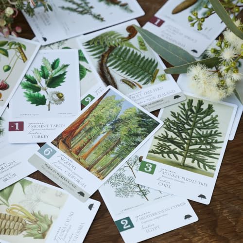 Botany: Tantalizing Trees Expansion miniatura 4
