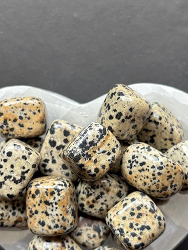 Image of Tumbled Stones, Natural Crystal Healing Stones, Home Office Decor, Aquarium Decorative Pebbles, Vase Fillers (Dalmation Jasper, 100)