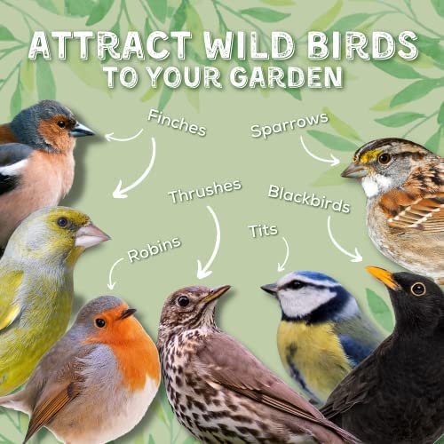 Copdock Mill Peanuts & Sunflower Hearts Bird Food 20kg - Hearty Nut Mix Bird Seed Blend with Sunflower Hearts and Peanuts for Wild Birds - High in Protein - Suitable for All Wild Bird Species - Image 5