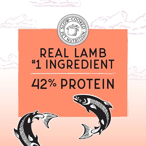 Image of Blackwood Bounty Dry Cat Food, Salmon & Rainbow Trout Recipe for All Life Stages, 2 Pound Bag, High Protein, Grain Free