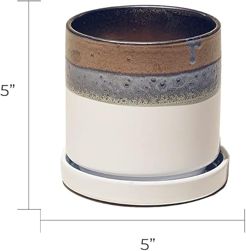 Miniatura 15 de CHIVE Macetas de cerámica para suculentas 'Minute', macetas de 5 pulgadas para cactus y flores de interior con drenaje y platillo desmontable, verde