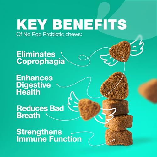 No Poo Chews for Dogs  Coprophagia Deterrent for Dogs  Dog Probiotics for Digestive Health  Forbid for Dogs Stool Eating Deterrent  Digestive Gut  Immune Health Treats  No Poop Eating for Dogs  Cucciolini Doodles No poo chews for dogs  coprophagia deterrent for dogs  dog probiotics for digestive health  forbid for dogs stool eating deterrent  digestive gut  immune health treats  no poop eating for dogs   cucciolini doodles