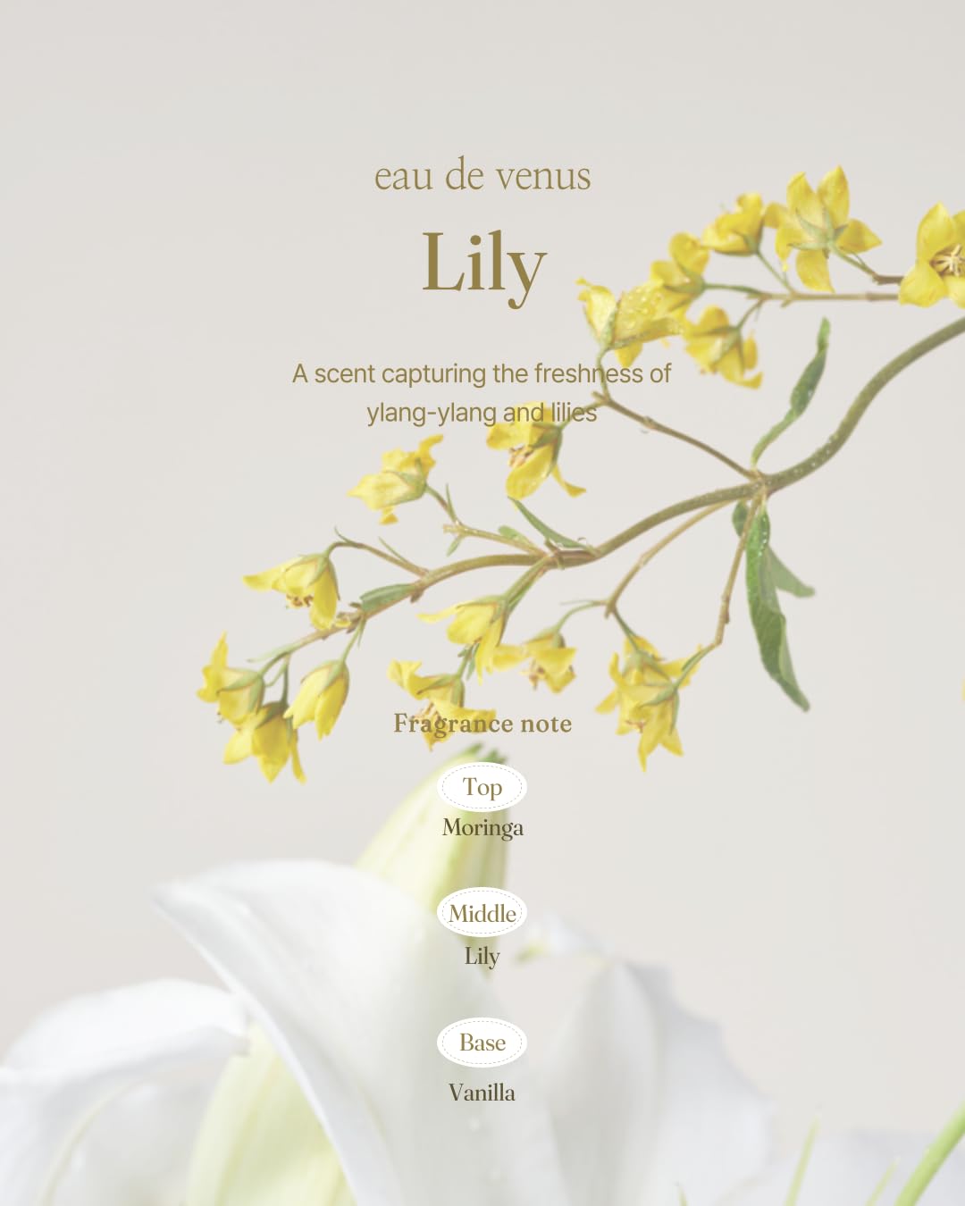 Foellie] eau de venus- Feminine Inner Beauty Perfume for Underwear Attractive Scents Fragrance, 5ml/0.169 fl.oz - Image 3