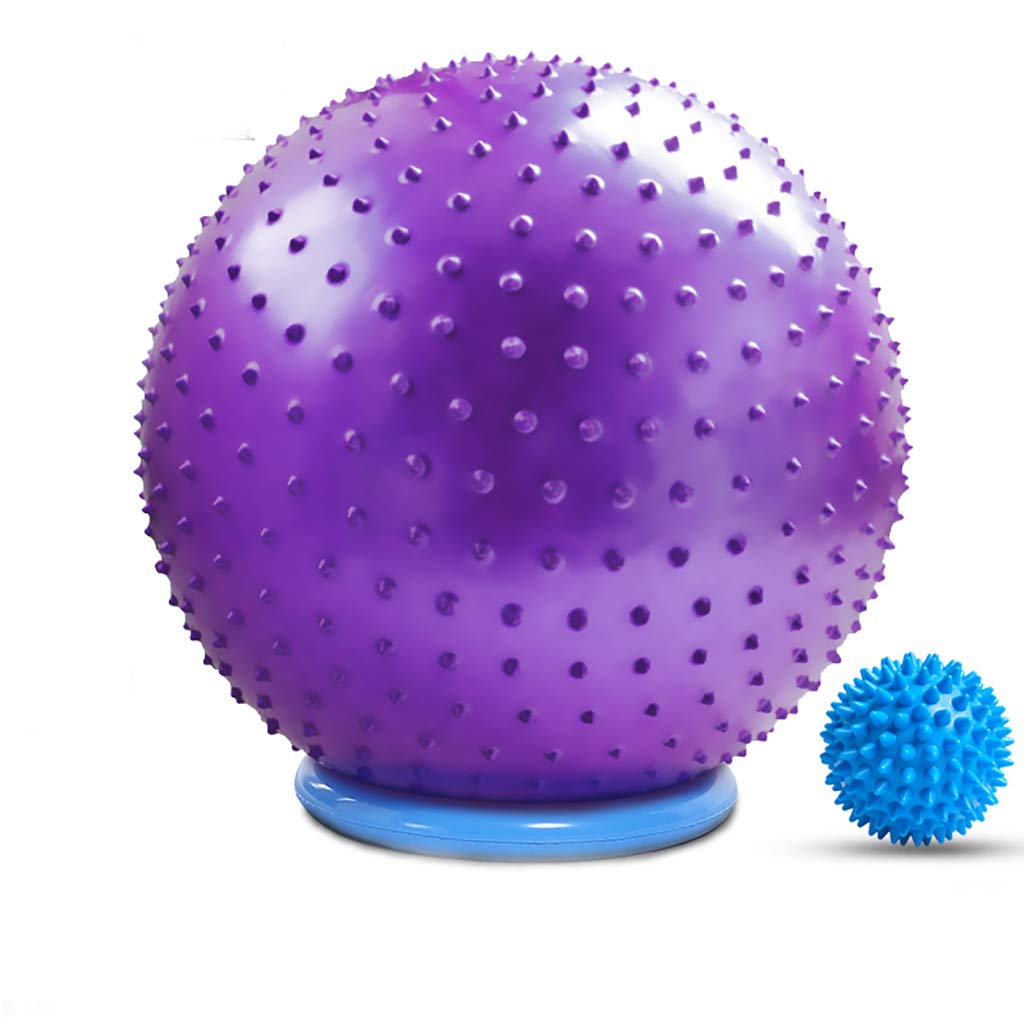 Zsh Palla da yoga a prova di esplosione, ecologica, insapore, palla svizzera da ginnastica, viola 65/75/85 cm, 65 cm