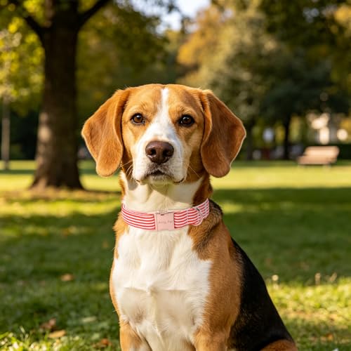 Image of ARING PET Cute Dog Collar for Puppy Small Medium Large Dogs-Red Stripe S | Cute Christmas Heavy Duty Pet Collars with Metal Buckle for XS S M L XL Dogs, for Beach Trips Picnic Daily Outdoor Stroll