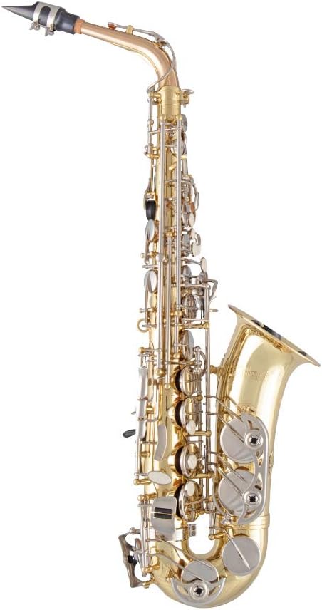 Selmer SAS301 Student Alto Saxophone - Lacquer