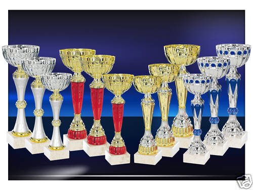 Lot de 12 Coupes trophées recompenses Entre 22 et 27 cm