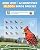 Bilibara Bird Feeder with Camera, 10000 AI Smart Bird Feeders Solar Powered, 2.4G WiFi, 2K HD and Instant Alerts, Bird House Feeder for Outdoors, Ideal for Parents, Lovers(Green)