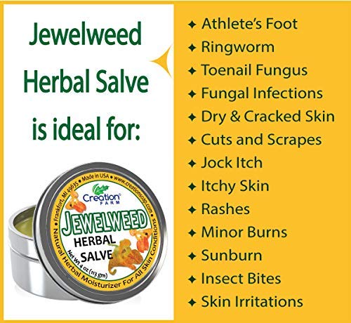 Creation Farm Jewelweed Salve Big 4 Oz Tin - Tea Tree Ointment For Skin Care Of Poison Ivy, Tattoo Aftercare, Great For Itch! #TOP2